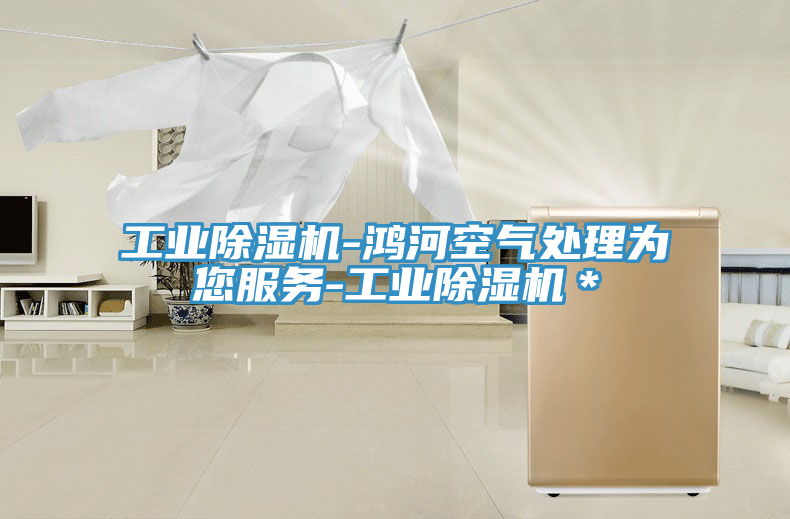 工業91看片网站-鴻河空氣處理為您服務-工業91看片网站＊