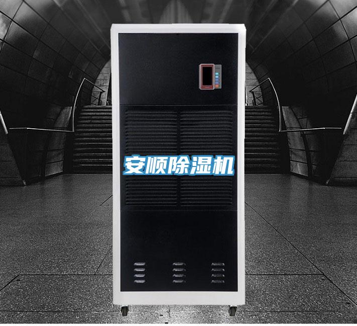 安順91看片网站