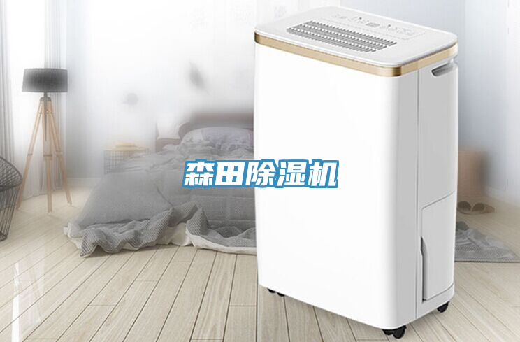 森田91看片网站