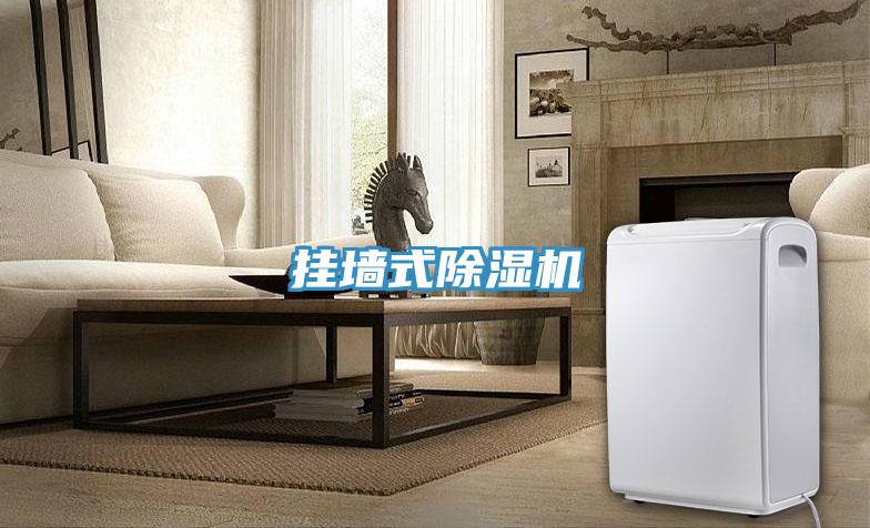 掛牆式91看片网站