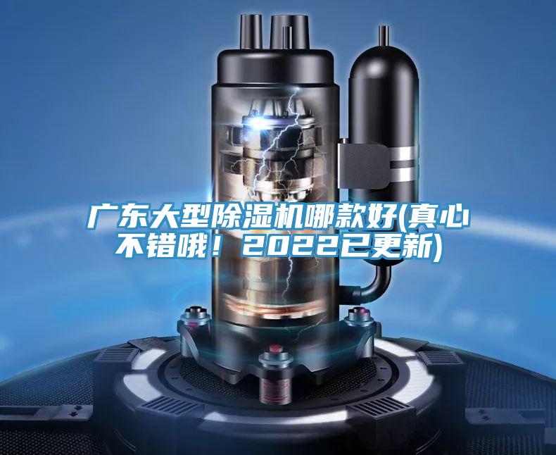 廣東大型91看片网站哪款好(真心不錯哦！2022已更新)