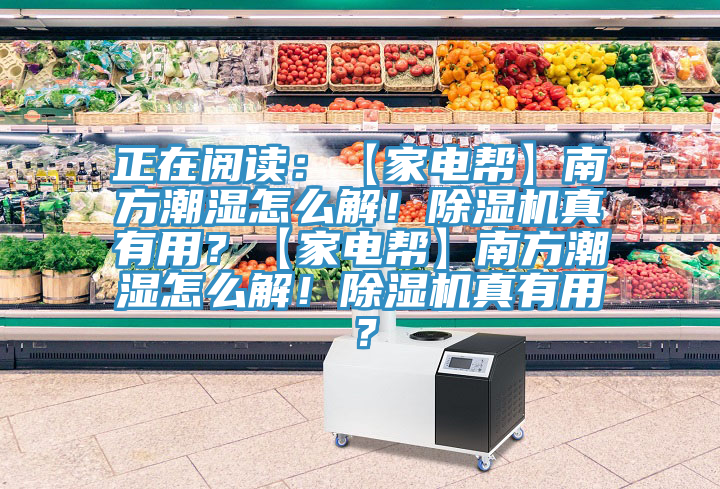 正在閱讀：【家電幫】南方潮濕怎麽解！91看片网站真有用？【家電幫】南方潮濕怎麽解！91看片网站真有用？