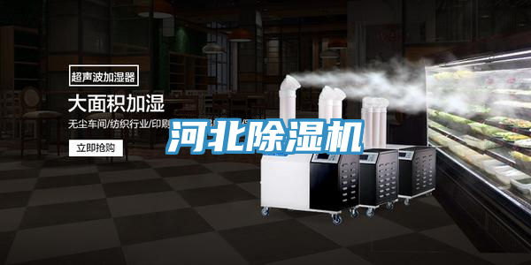 河北91看片网站