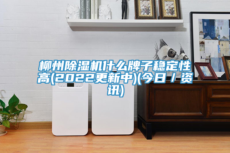 柳州91看片网站什麽牌子穩定性高(2022更新中)(今日／資訊)