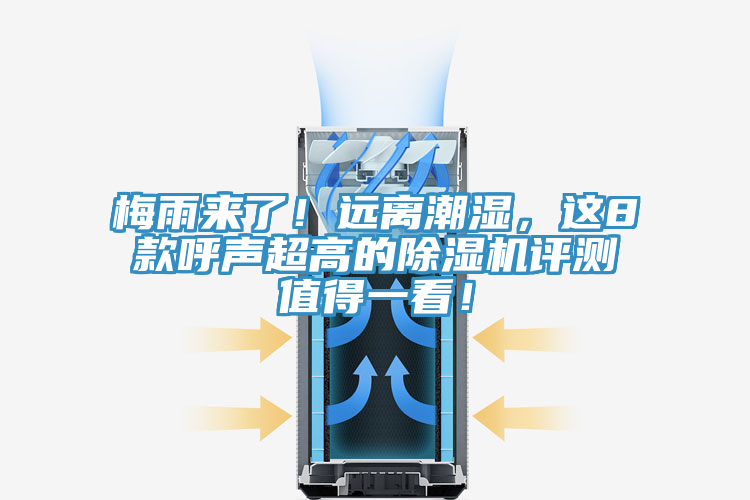 梅雨來了！遠離潮濕，這8款呼聲超高的91看片网站評測值得一看！