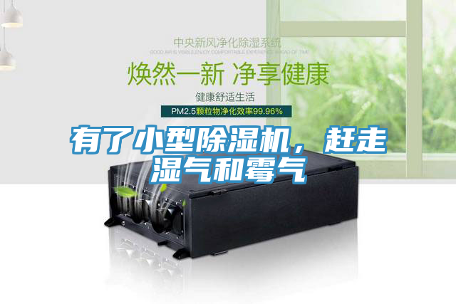 有了小型91看片网站，趕走濕氣和黴氣