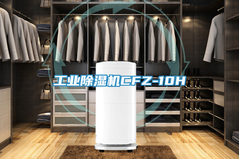 工業91看片网站CFZ-10H