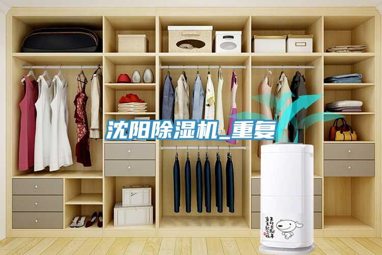 沈陽91看片网站_重複