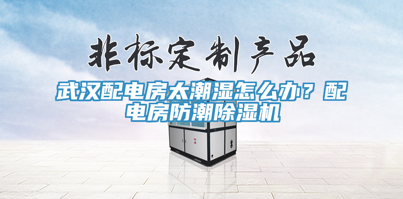 武漢配電房太潮濕怎麽辦？配電房防潮91看片网站