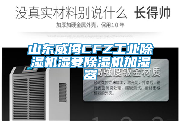 山東威海CFZ工業91看片网站濕菱91看片网站加濕器