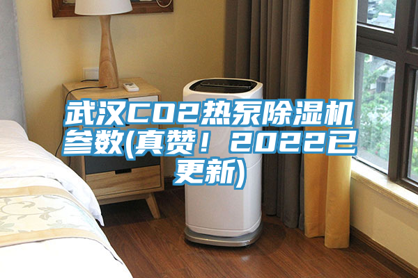 武漢CO2熱泵91看片网站參數(真讚！2022已更新)