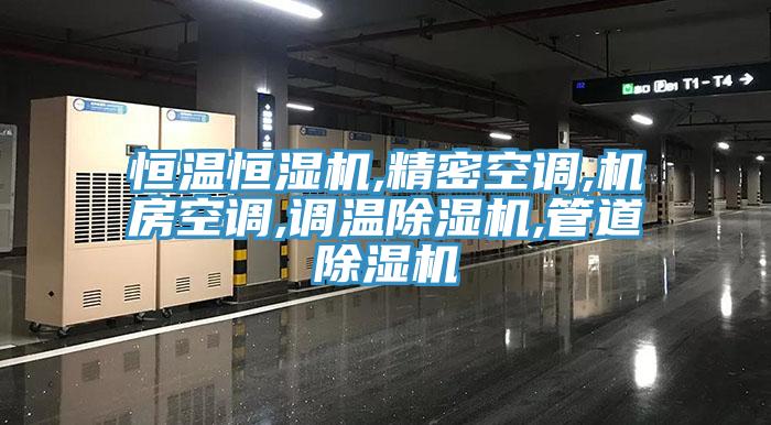 恒溫恒濕機,精密空調,機房空調,調溫91看片网站,管道91看片网站