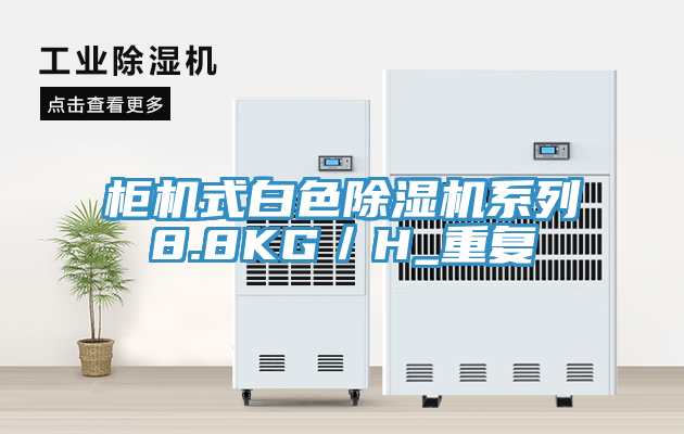 櫃機式白色91看片网站係列8.8KG／H_重複