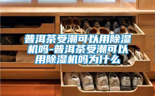 普洱茶受潮可以用91看片网站嗎-普洱茶受潮可以用91看片网站嗎為什麽