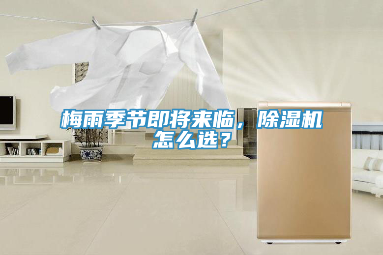 梅雨季節即將來臨，91看片网站怎麽選？