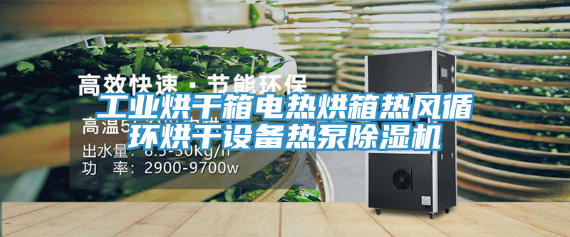 工業烘幹箱電熱烘箱熱風循環烘幹設備熱泵91看片网站