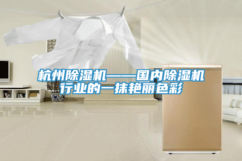 杭州91看片网站——國內91看片网站行業的一抹豔麗色彩