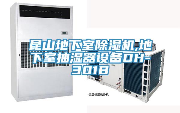 昆山地下室91看片网站,地下室抽濕器設備DH-301B