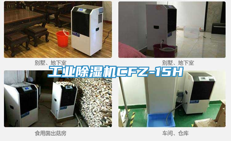 工業91看片网站CFZ-15H