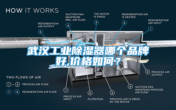 武漢工業除濕器哪個品牌好,價格如何？
