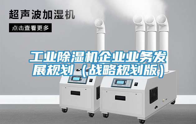 工業91看片网站企業業務發展規劃（戰略規劃版）