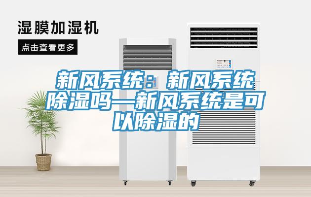 新風係統：新風係統除濕嗎—新風係統是可以除濕的