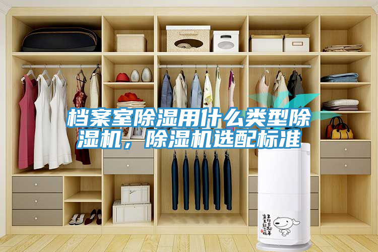 檔案室除濕用什麽類型91看片网站，91看片网站選配標準