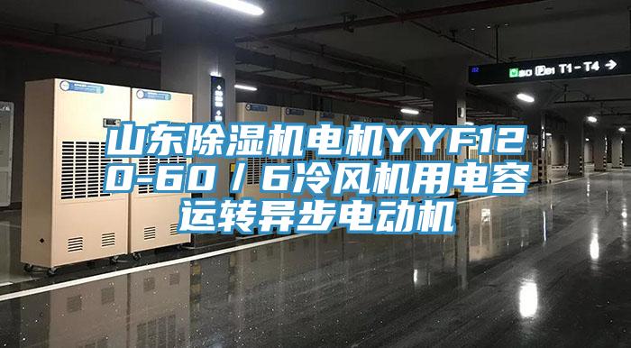 山東91看片网站電機YYF120-60／6冷風機用電容運轉異步電動機