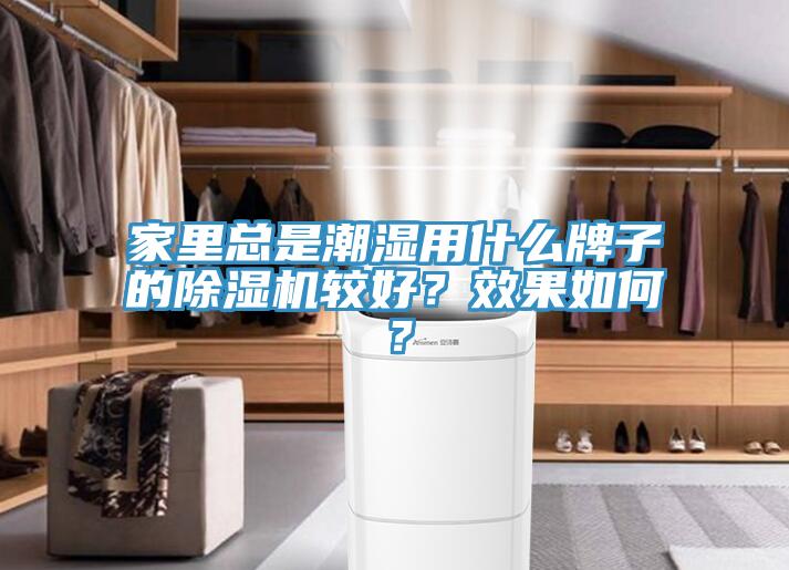 家裏總是潮濕用什麽牌子的91看片网站較好？效果如何？