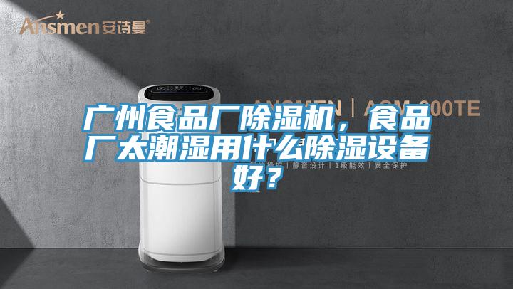 廣州食品廠91看片网站，食品廠太潮濕用什麽除濕設備好？