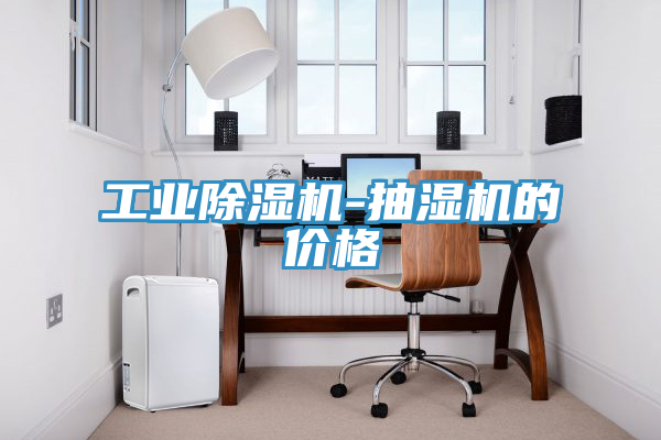 工業91看片网站-抽濕機的價格