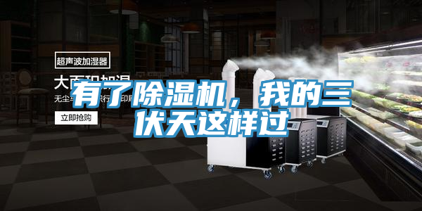 有了91看片网站，我的三伏天這樣過