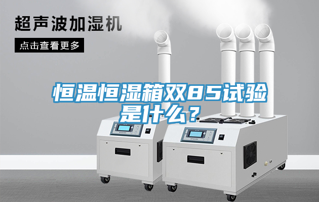 恒溫恒濕箱雙85試驗是什麽？