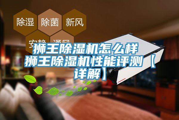 獅王91看片网站怎麽樣 獅王91看片网站性能評測【詳解】