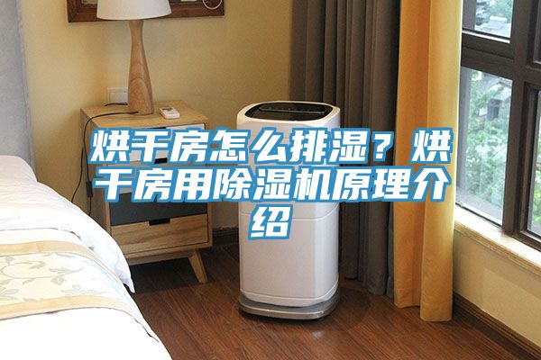 烘幹房怎麽排濕？烘幹房用91看片网站原理介紹