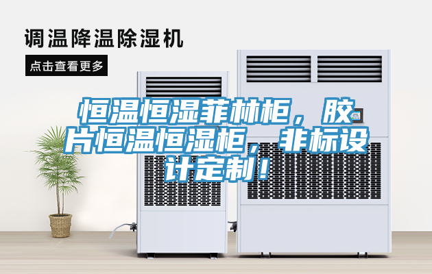 恒溫恒濕菲林櫃，膠片恒溫恒濕櫃，非標設計定製！