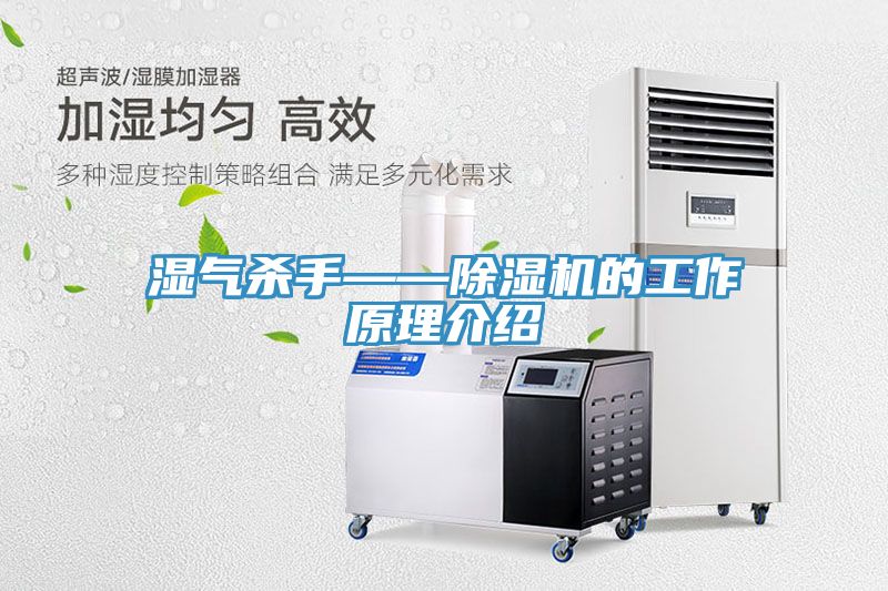 濕氣殺手——91看片网站的工作原理介紹