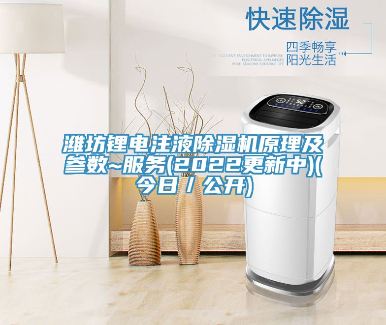 濰坊鋰電注液91看片网站原理及參數~服務(2022更新中)(今日／公開)