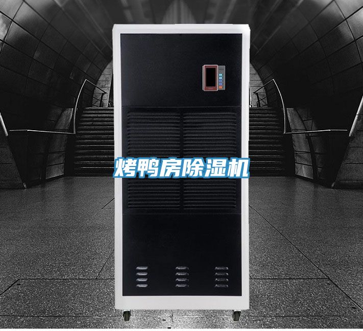 烤鴨房91看片网站