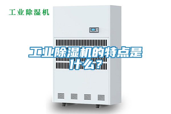 工業91看片网站的特點是什麽？