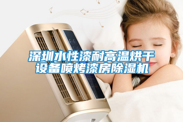 深圳水性漆耐高溫烘幹設備噴烤漆房91看片网站