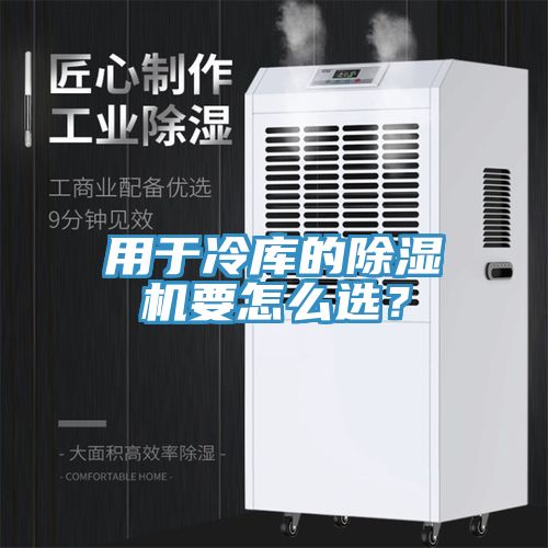用於冷庫的91看片网站要怎麽選？