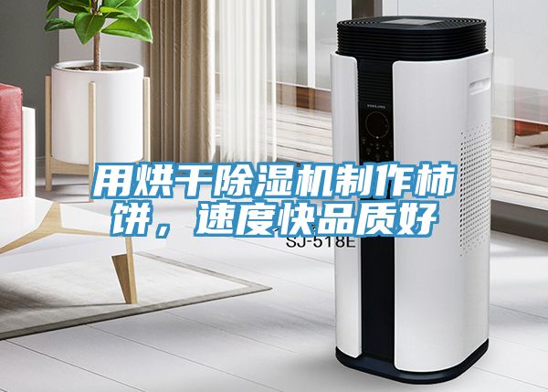 用烘幹91看片网站製作柿餅，速度快品質好