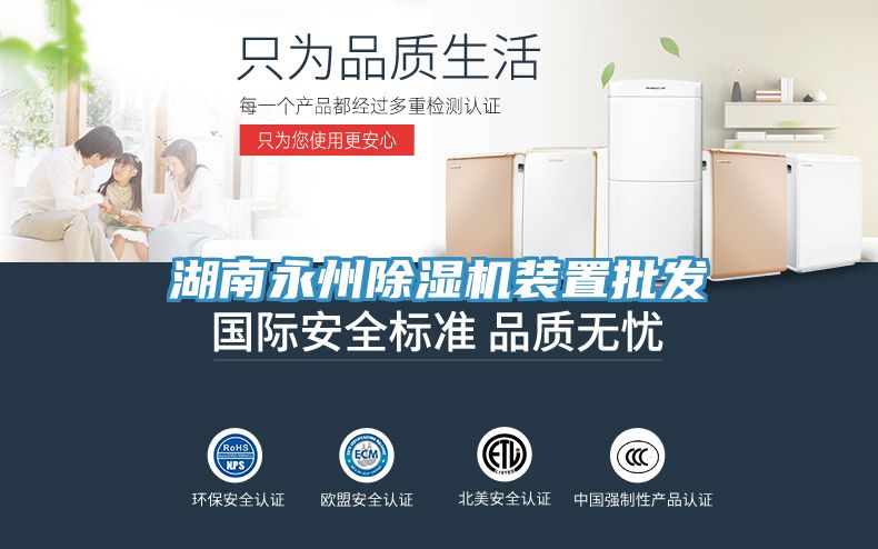 湖南永州91看片网站裝置批發
