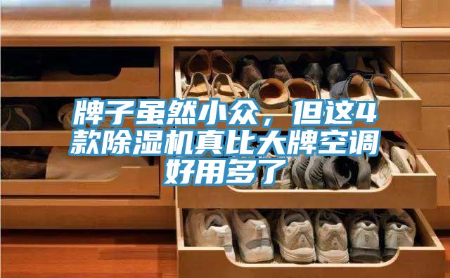 牌子雖然小眾，但這4款91看片网站真比大牌空調好用多了