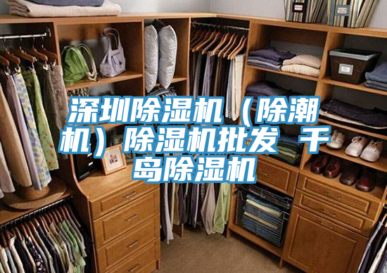 深圳91看片网站（除潮機）91看片网站批發 千島91看片网站