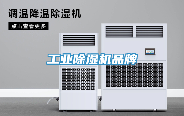 工業91看片网站品牌