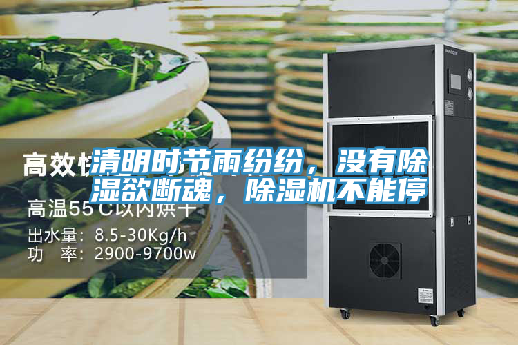 清明時節雨紛紛，沒有除濕欲斷魂，91看片网站不能停