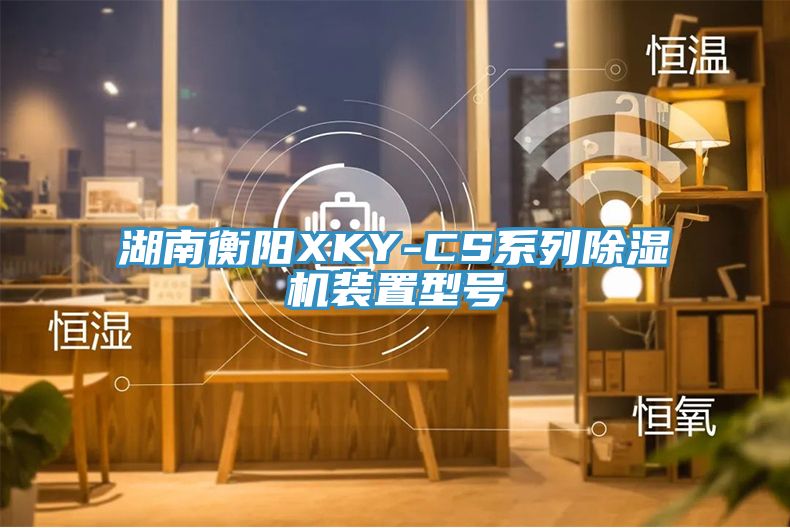 湖南衡陽XKY-CS係列91看片网站裝置型號