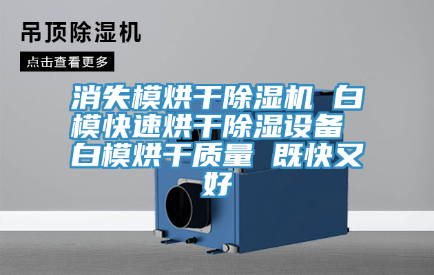 消失模烘幹91看片网站 白模快速烘幹除濕設備 白模烘幹質量 既快又好
